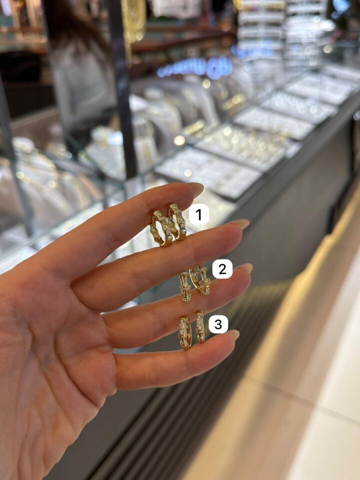 Halka Model Küpe seçenek 3