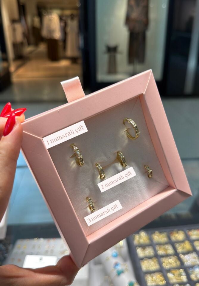 Luzzo Gold Taşlı Küpe